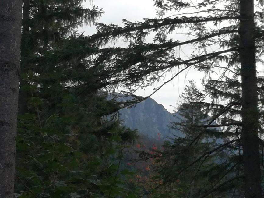 Dom Pod Skocznia Lägenhet Zakopane Exteriör bild