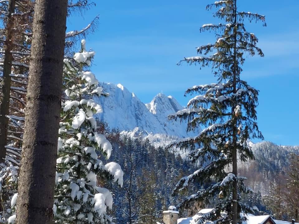 Dom Pod Skocznia Lägenhet Zakopane Exteriör bild