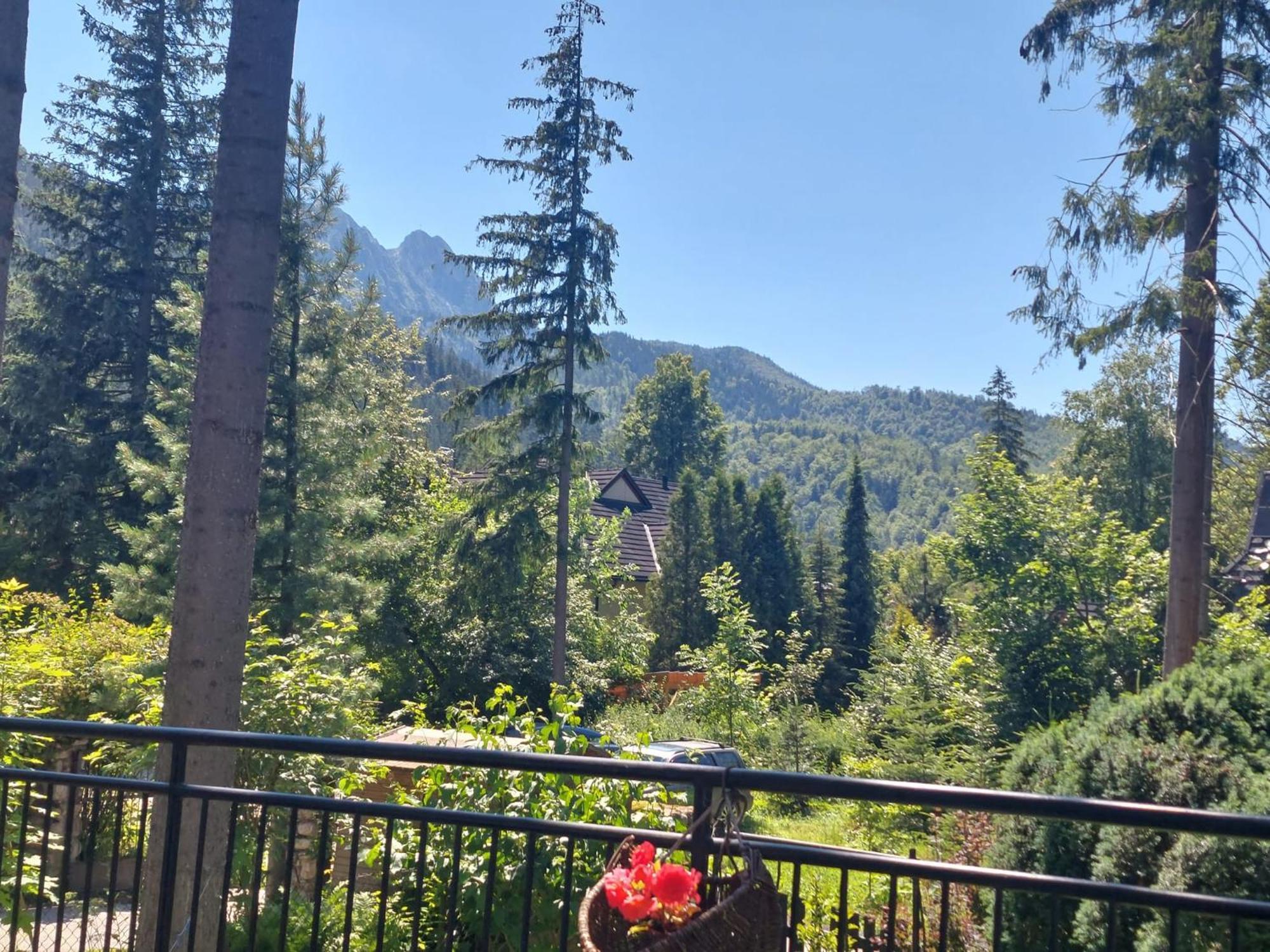 Dom Pod Skocznia Lägenhet Zakopane Exteriör bild