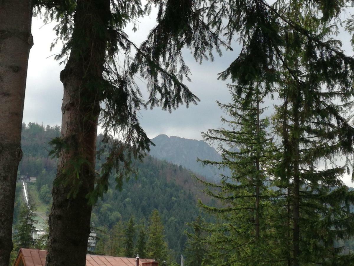 Dom Pod Skocznia Lägenhet Zakopane Exteriör bild