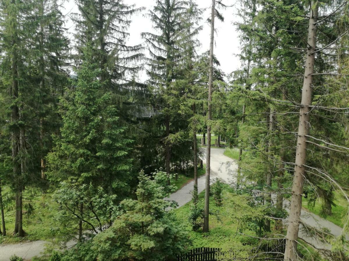 Dom Pod Skocznia Lägenhet Zakopane Exteriör bild