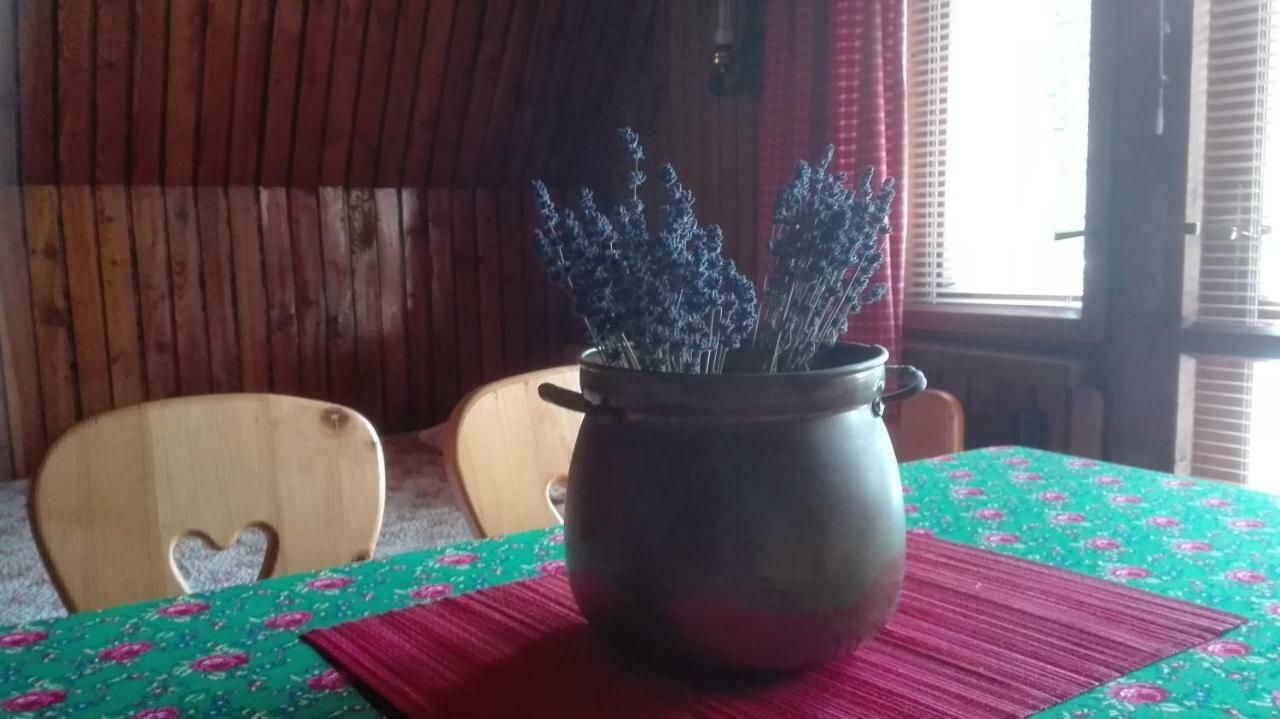 Dom Pod Skocznia Lägenhet Zakopane Exteriör bild