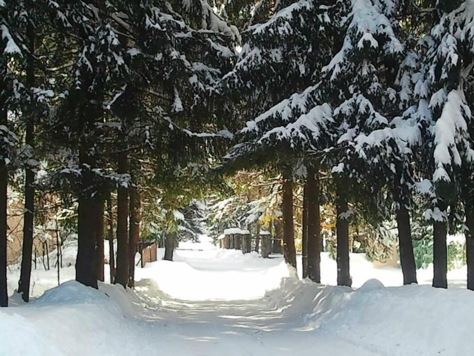 Dom Pod Skocznia Lägenhet Zakopane Exteriör bild